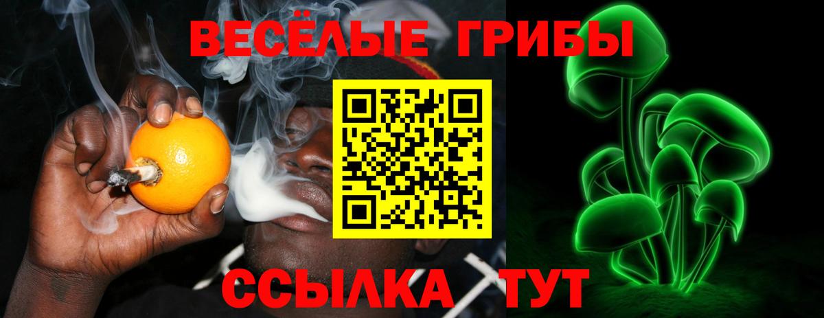 Галлюциногенные грибы GOLDEN TEACHER Верхний Уфалей